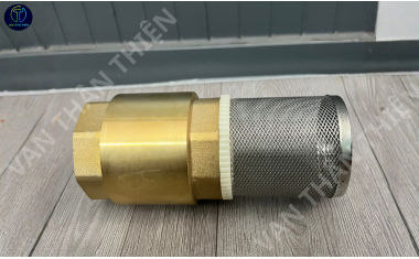 Van 1 chiều lò xo đồng