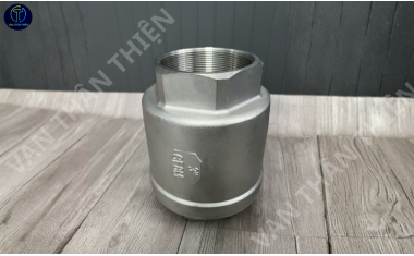 Van 1 chiều lò xo inox 304
