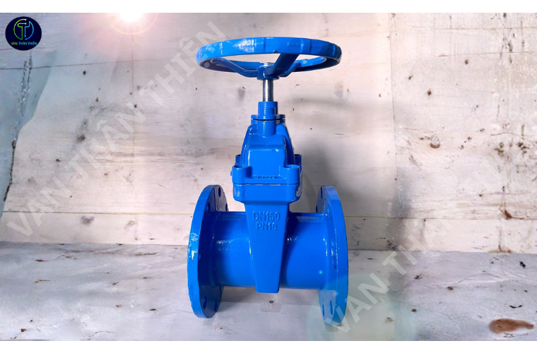 Van cửa gang cánh cao su ty chìm