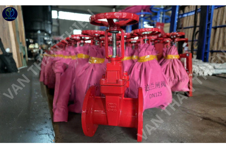 Van cửa gang ty nổi