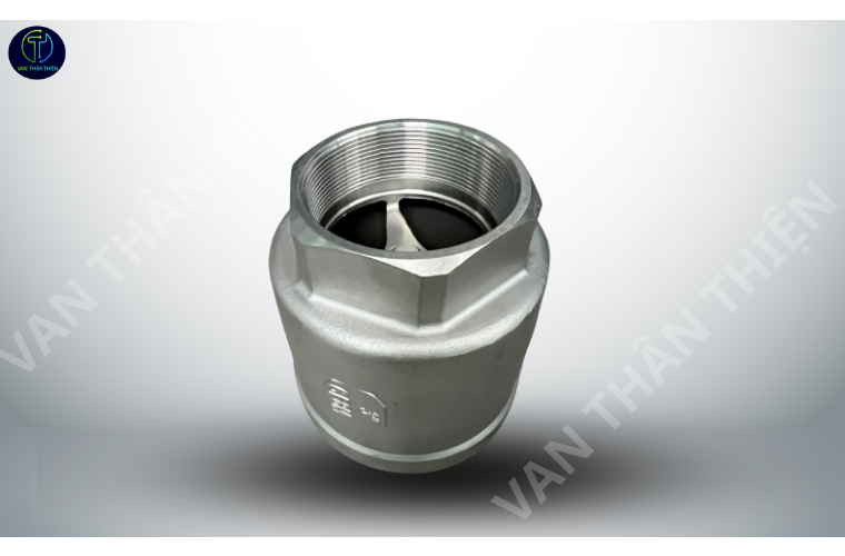 Van 1 chiều lò xo inox 304