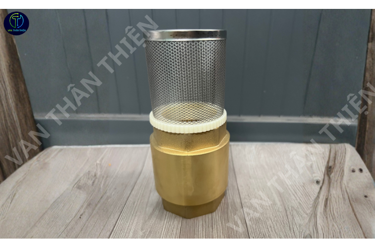 Van 1 chiều lò xo đồng