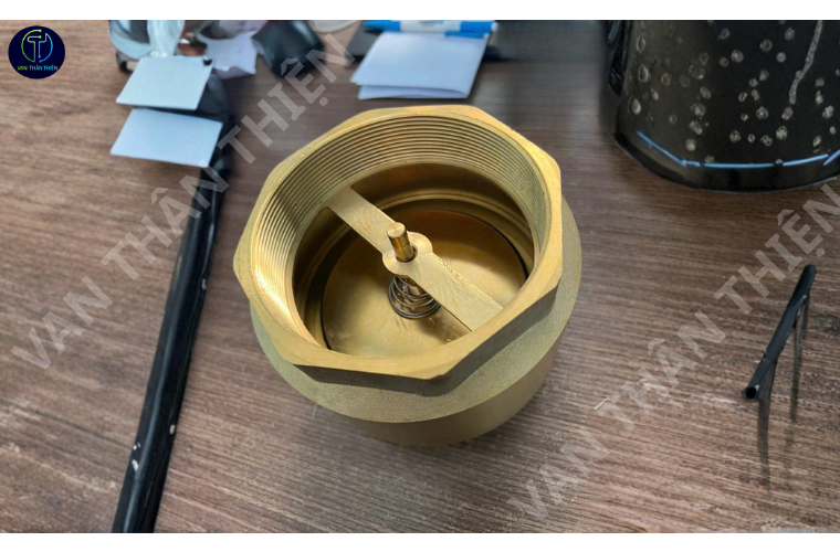 Van 1 chiều lò xo đồng