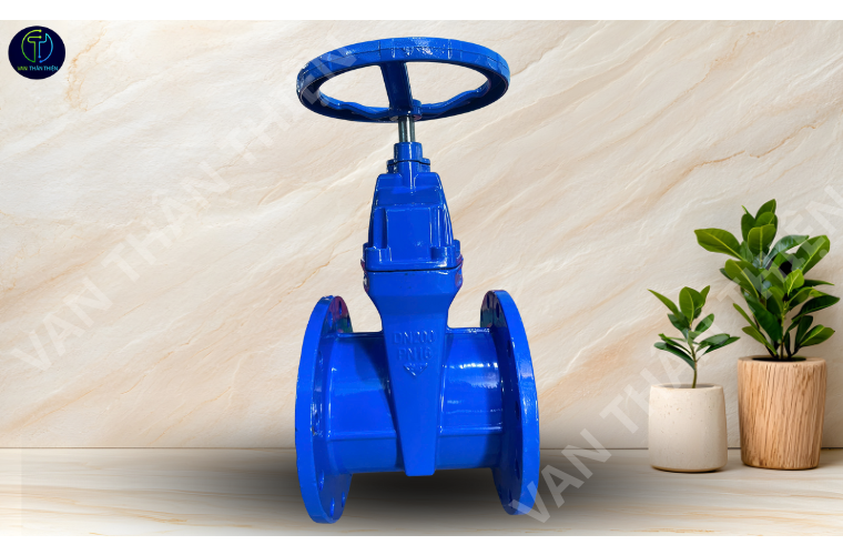 Van cửa gang cánh cao su ty chìm